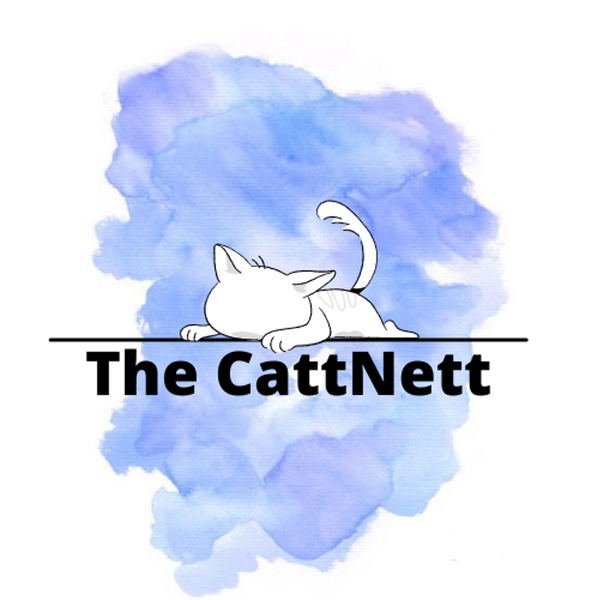 catt nett